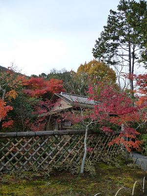 光悦寺