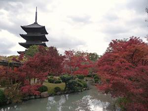 東寺の紅葉